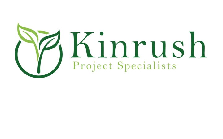 Screenshot of kinrush.com