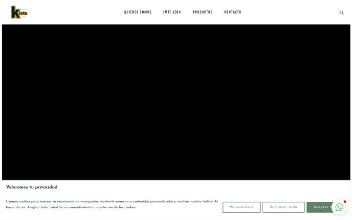 Screenshot of kiotobajio.com