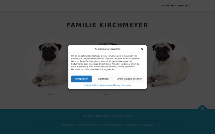 Screenshot of kirchmeyer.info