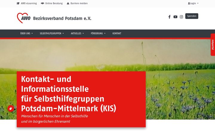 Screenshot of kis-pm.de