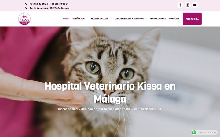 Screenshot stránky kissaveterinarios.es