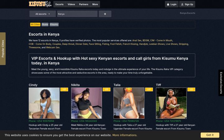 Screenshot of kisumuraha.com