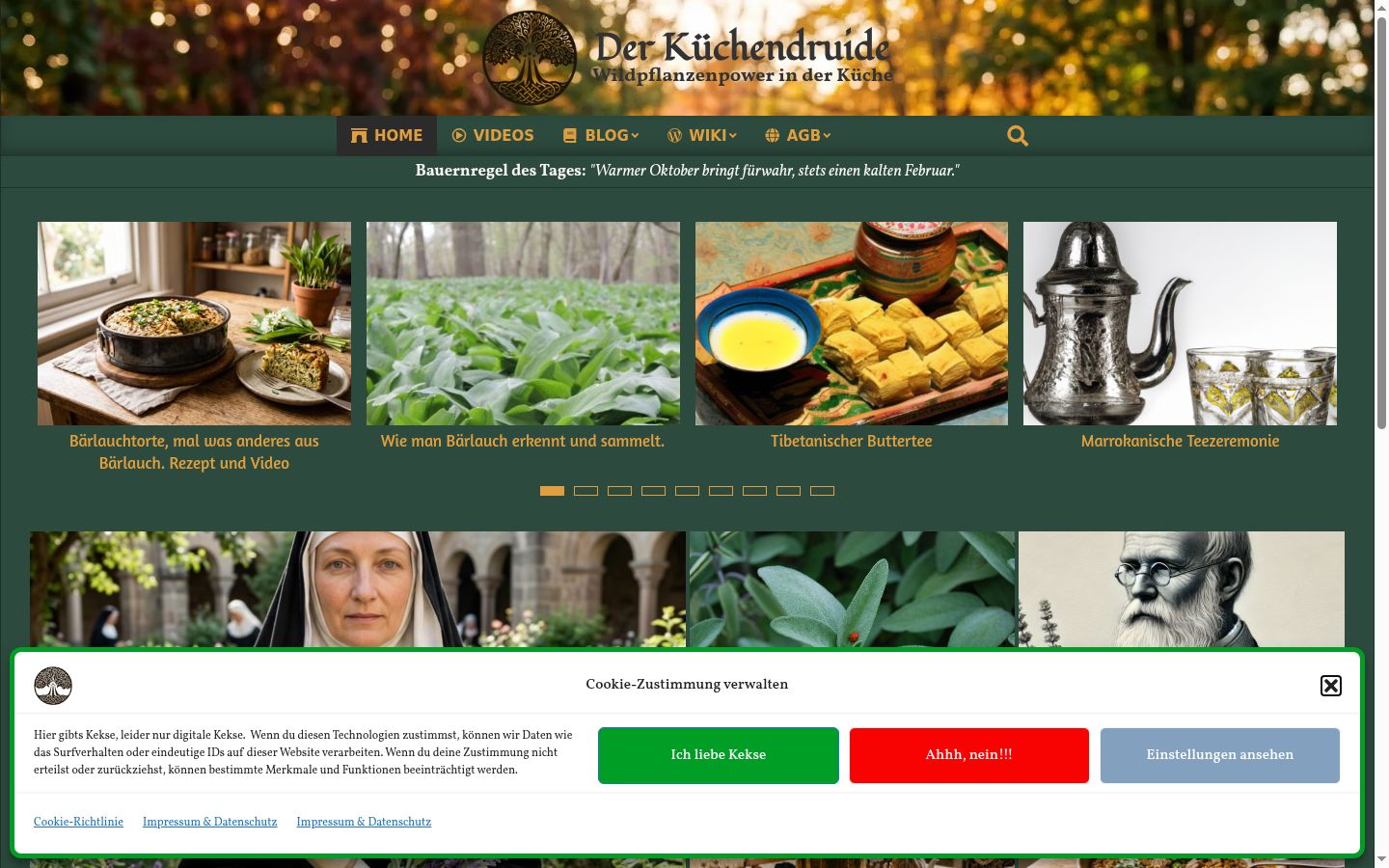 Screenshot des Einwilligungsbanners vor jeglicher Interaktion