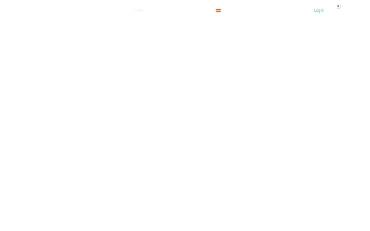 Screenshot of kitewash.com