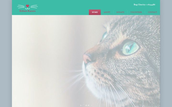Screenshot of kittenkarers.net
