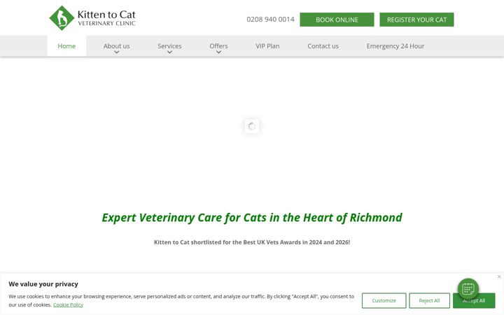 Screenshot of kittentocat.com
