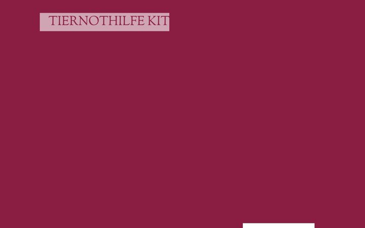 Screenshot of kitty-checker.de