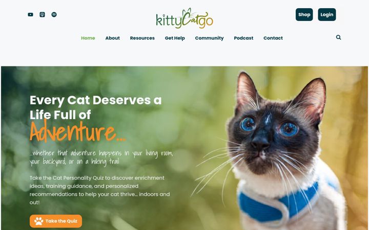 Screenshot of kittycatgo.com