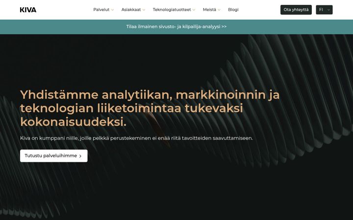 Screenshot of kiva.fi