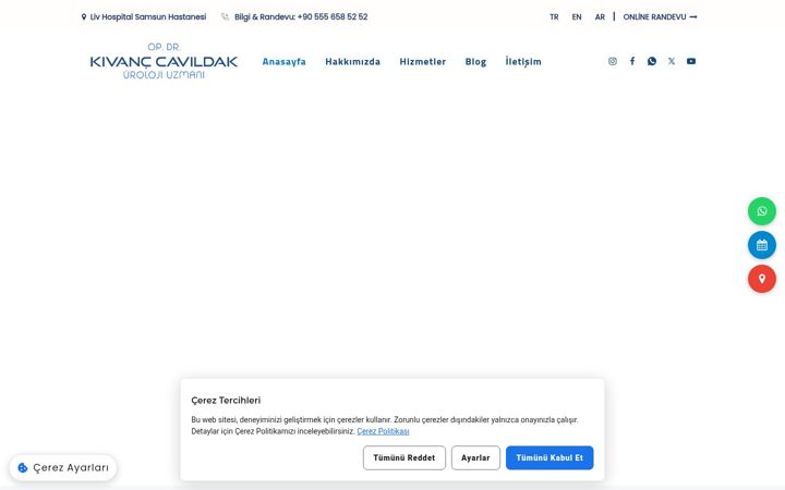Screenshot of kivanccavildak.com