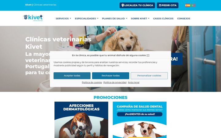 Screenshot of kivet.com