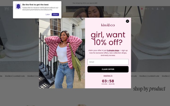 Screenshot of kiwiandco.co.uk