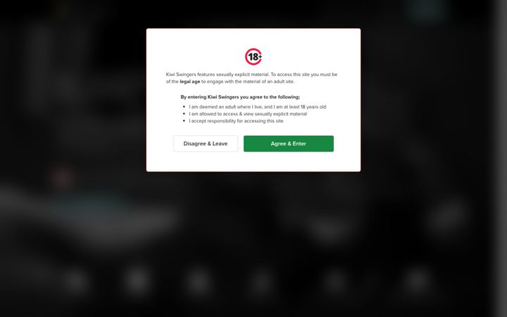 Screenshot of kiwiswingers.co.nz