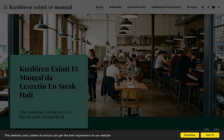 Screenshot of kizilorenet.com