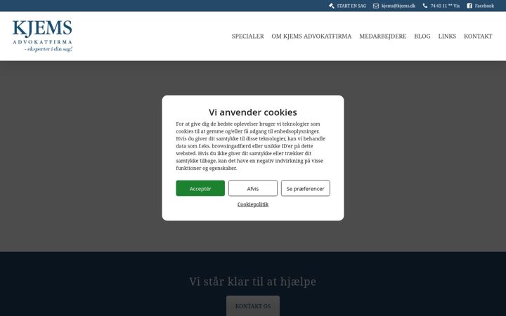 Screenshot of kjems.dk