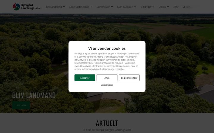 Screenshot of kjls.dk