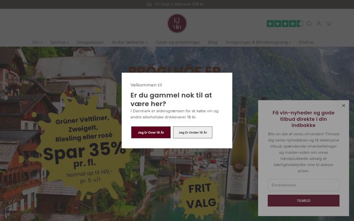 Screenshot of kjvin.dk