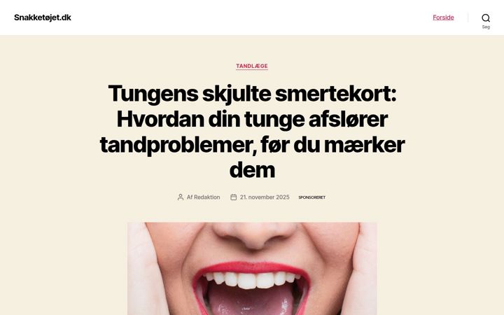 Screenshot of kkn-udvikling.dk