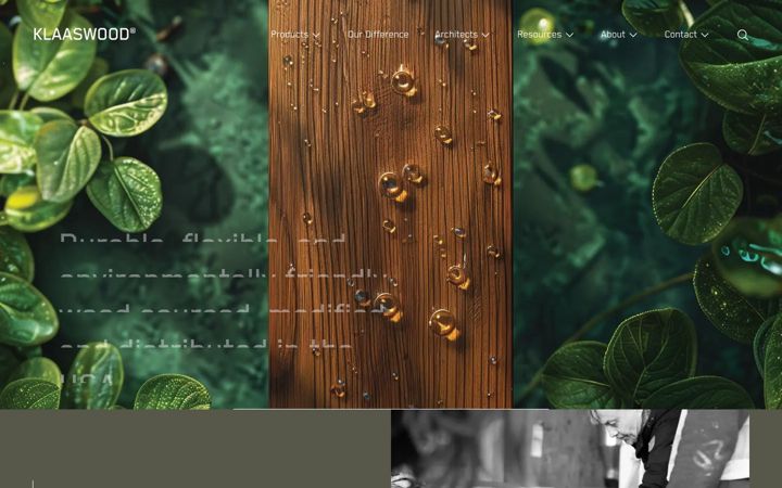 Screenshot of klaaswood.com