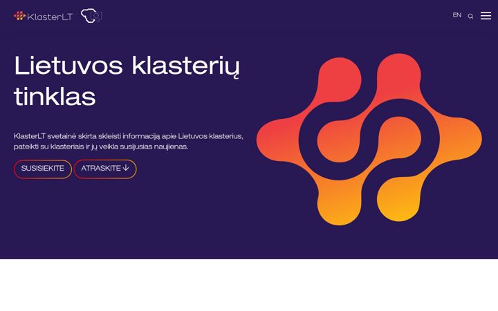 Screenshot of klaster.lt