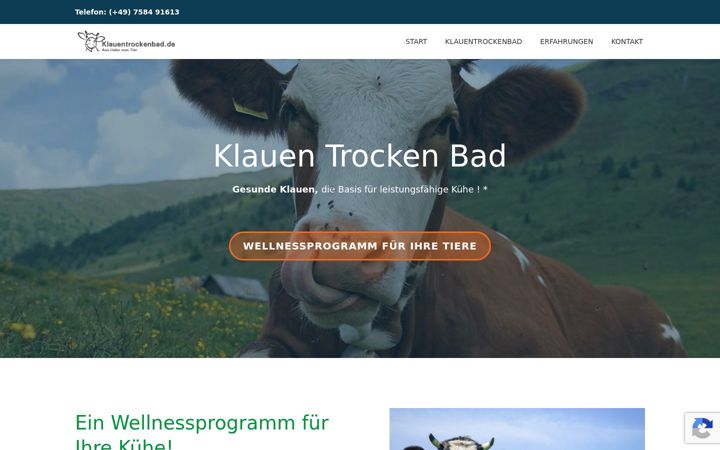 Screenshot of klauentrockenbad.de