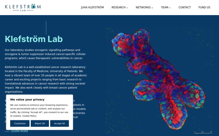 Screenshot of klefstromlab.com