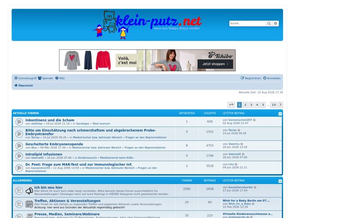 Screenshot of klein-putz.net