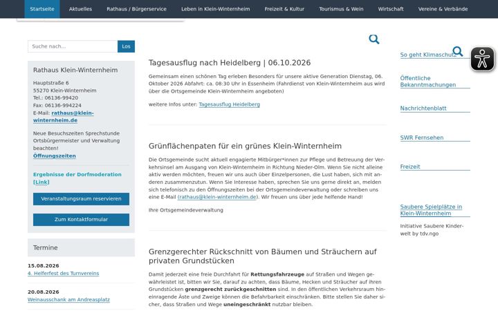 Screenshot of klein-winternheim.de