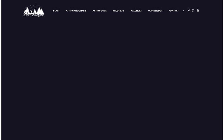 Screenshot of kleinburger.com