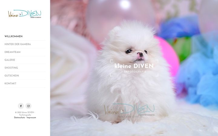 Screenshot of kleine-diven.de