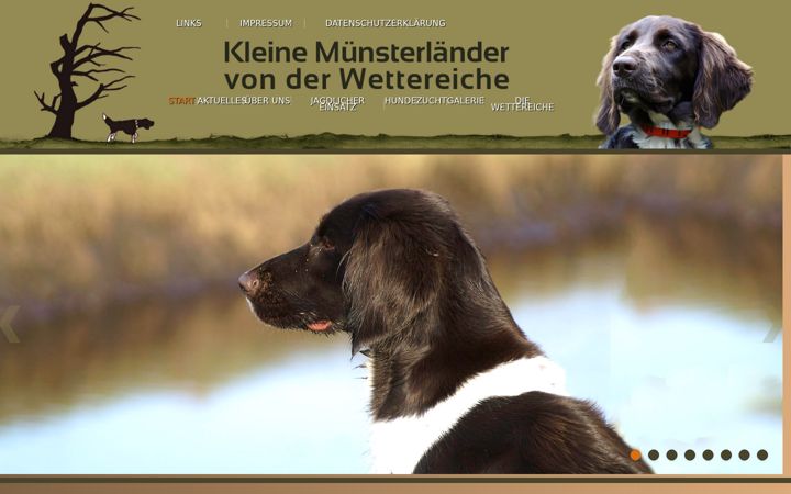 Screenshot of kleine-muensterlaender-wettereiche.de
