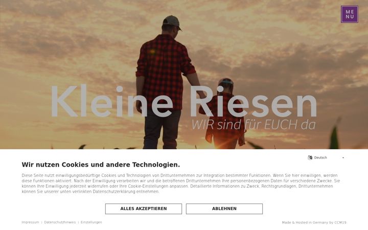 Screenshot of kleine-riesen.net