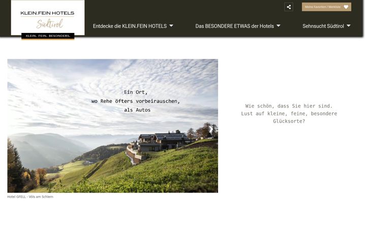 Screenshot of kleinfeinhotels.com
