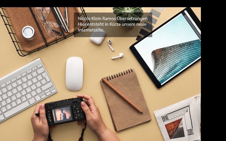 Screenshot of kleinramos.de