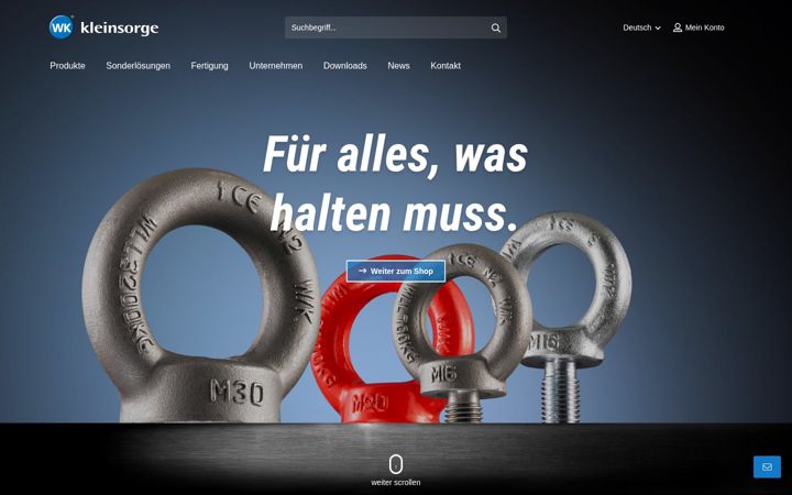 Screenshot of kleinsorge.de