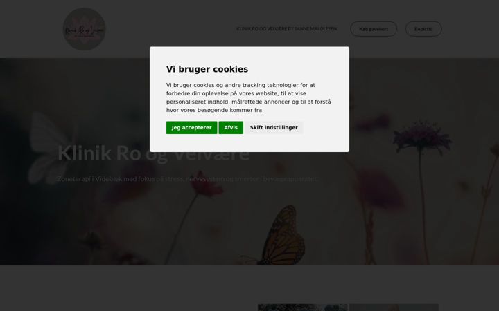 Screenshot of klinikroogvelvaere.dk