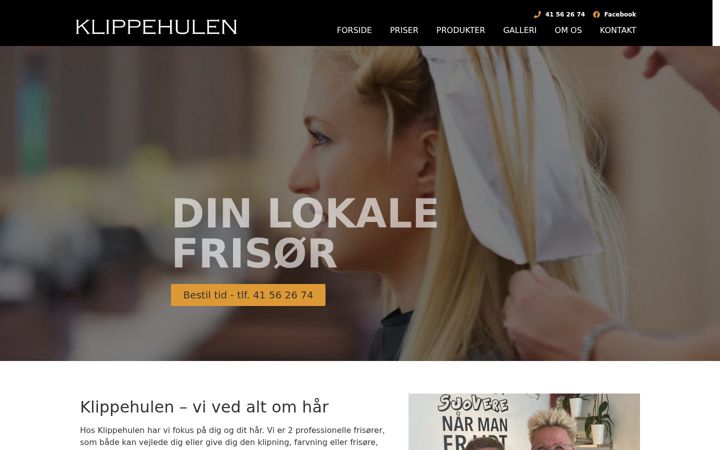 Screenshot of klippehulen-gelsted.dk