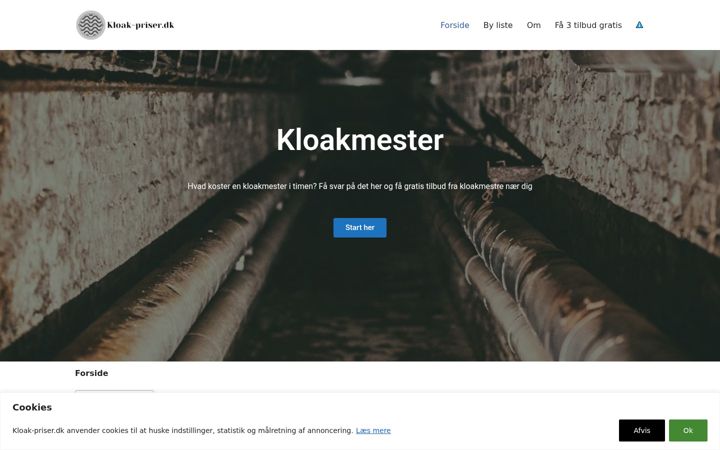 Screenshot of kloak-priser.dk