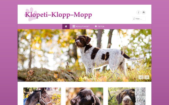 Screenshot of klopeti.fi