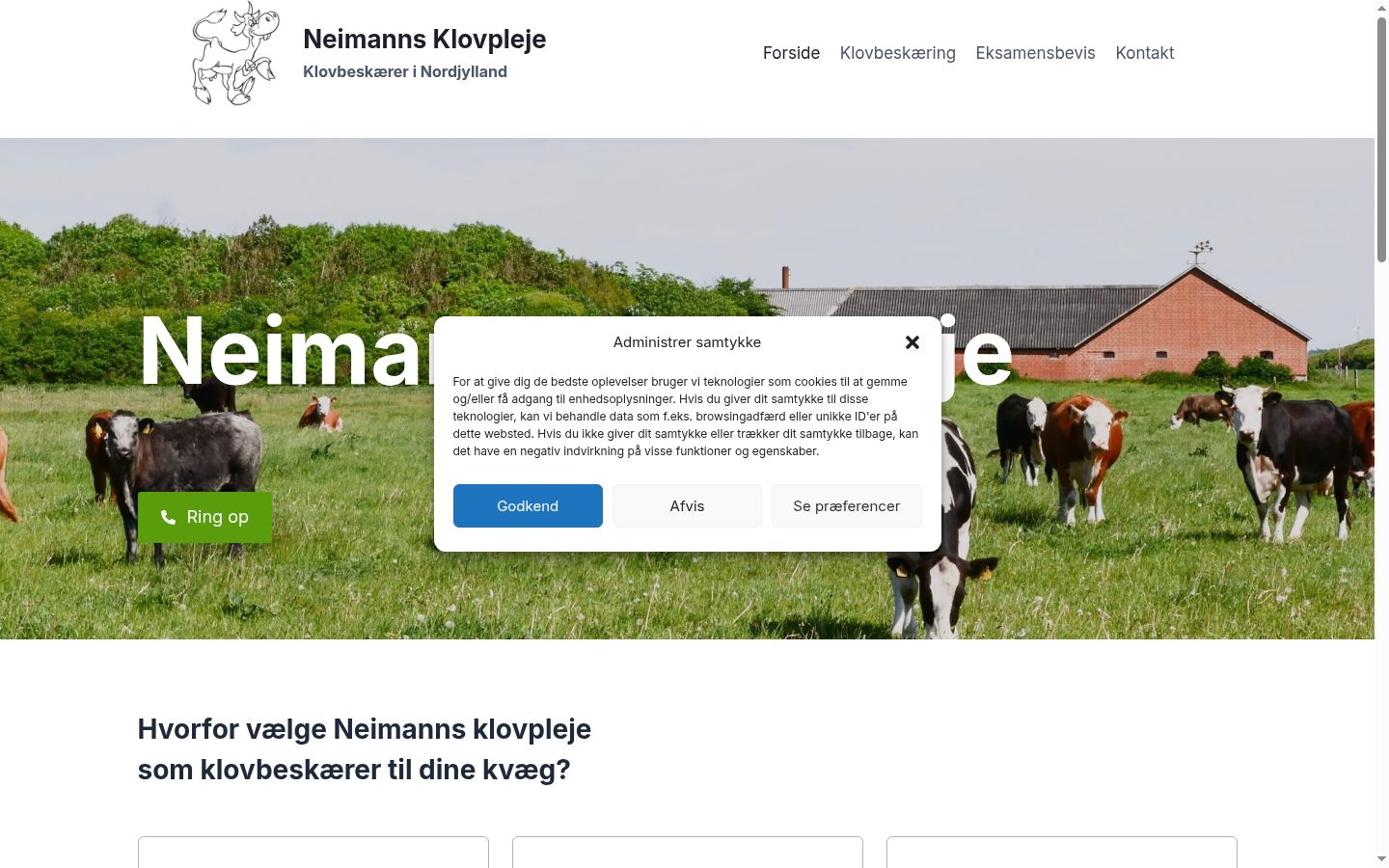 Screenshot des Einwilligungsbanners vor jeglicher Interaktion