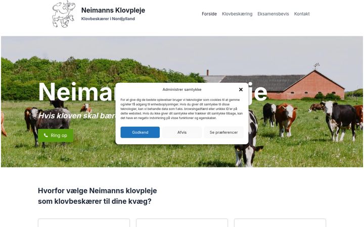 Screenshot of klovdoktoren.dk