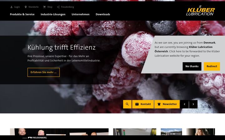 Screenshot of klueber.at