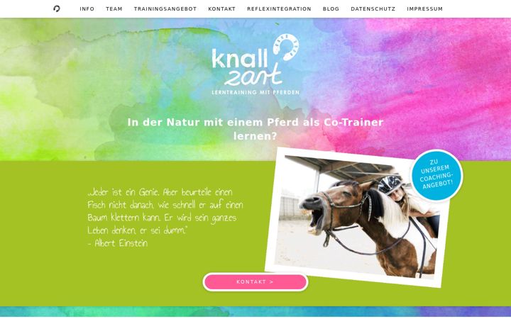Screenshot of knallzart-lerntraining.de