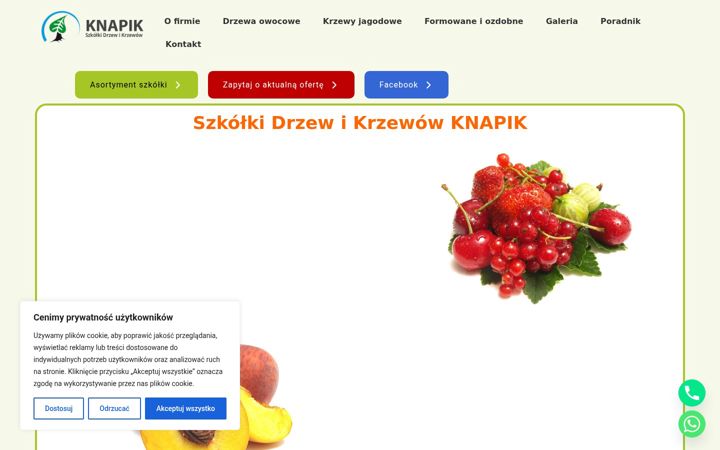 Screenshot of knapik.opole.pl