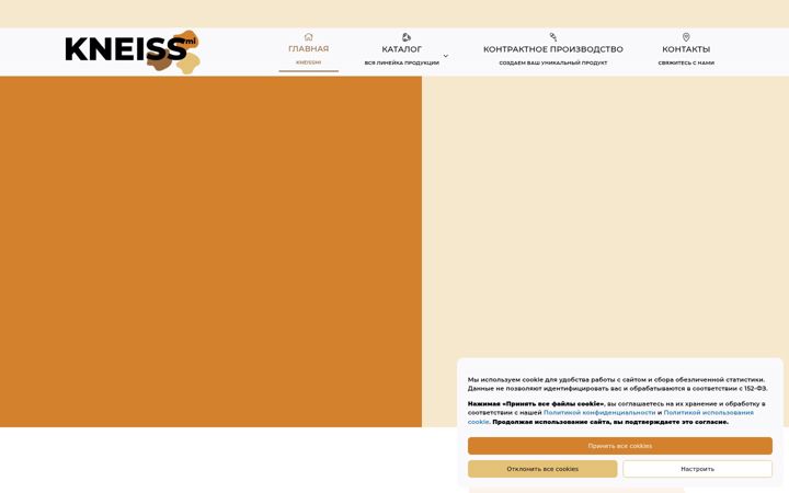 Screenshot of kneissmi.ru