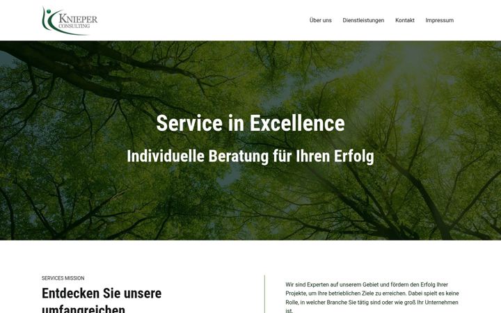 Screenshot of knieper-consulting.com