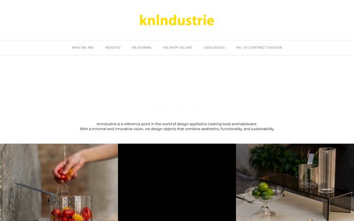 Screenshot of knindustrie.it