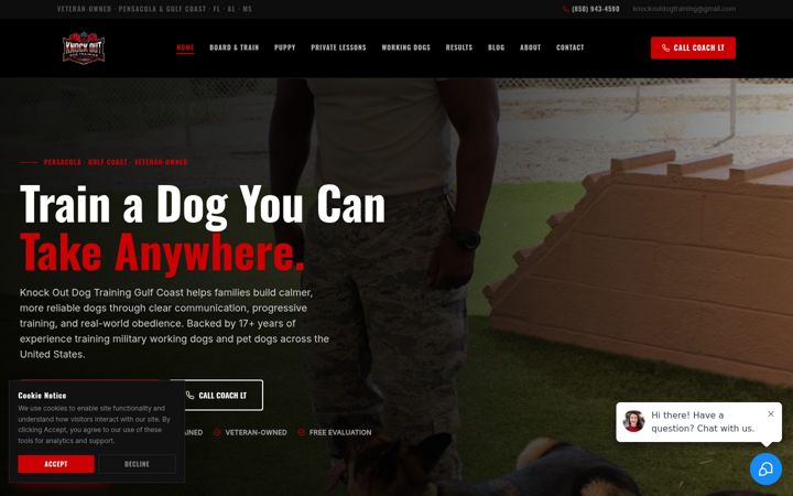 Screenshot of knockoutdogtraining.com
