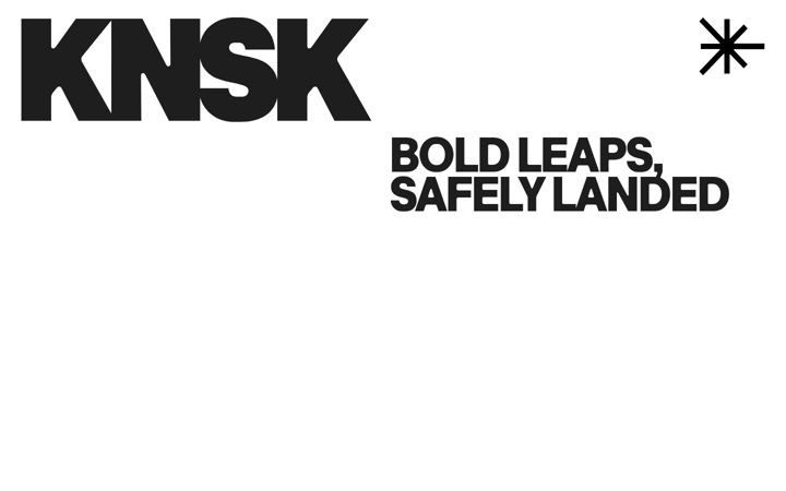 Skærmbillede af knsk-group.de