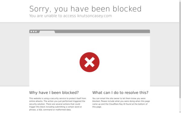 Screenshot of knutsoncasey.com